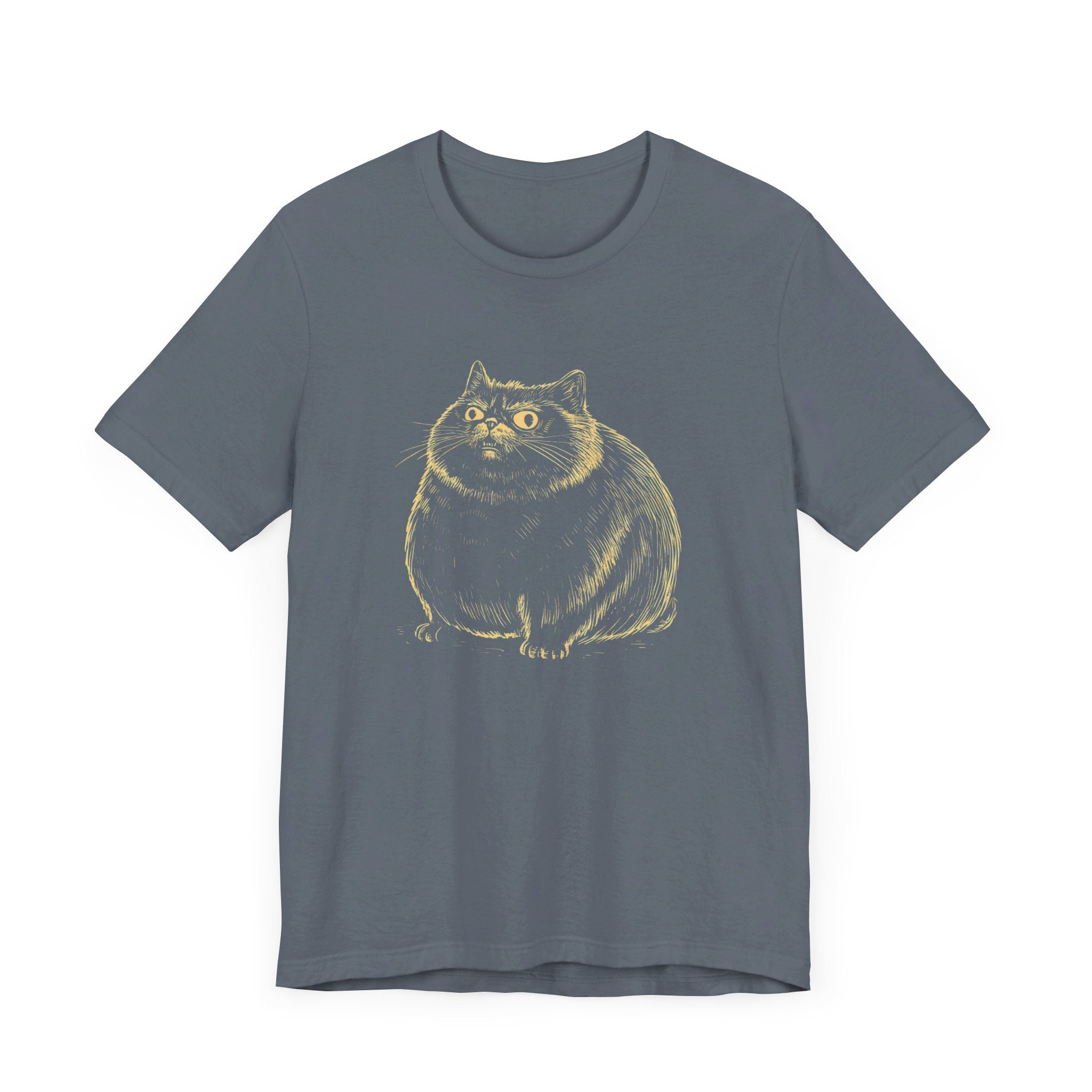 Cute Chubby Cat Illustration T-Shirt – Adorable Kitty Lover Tee