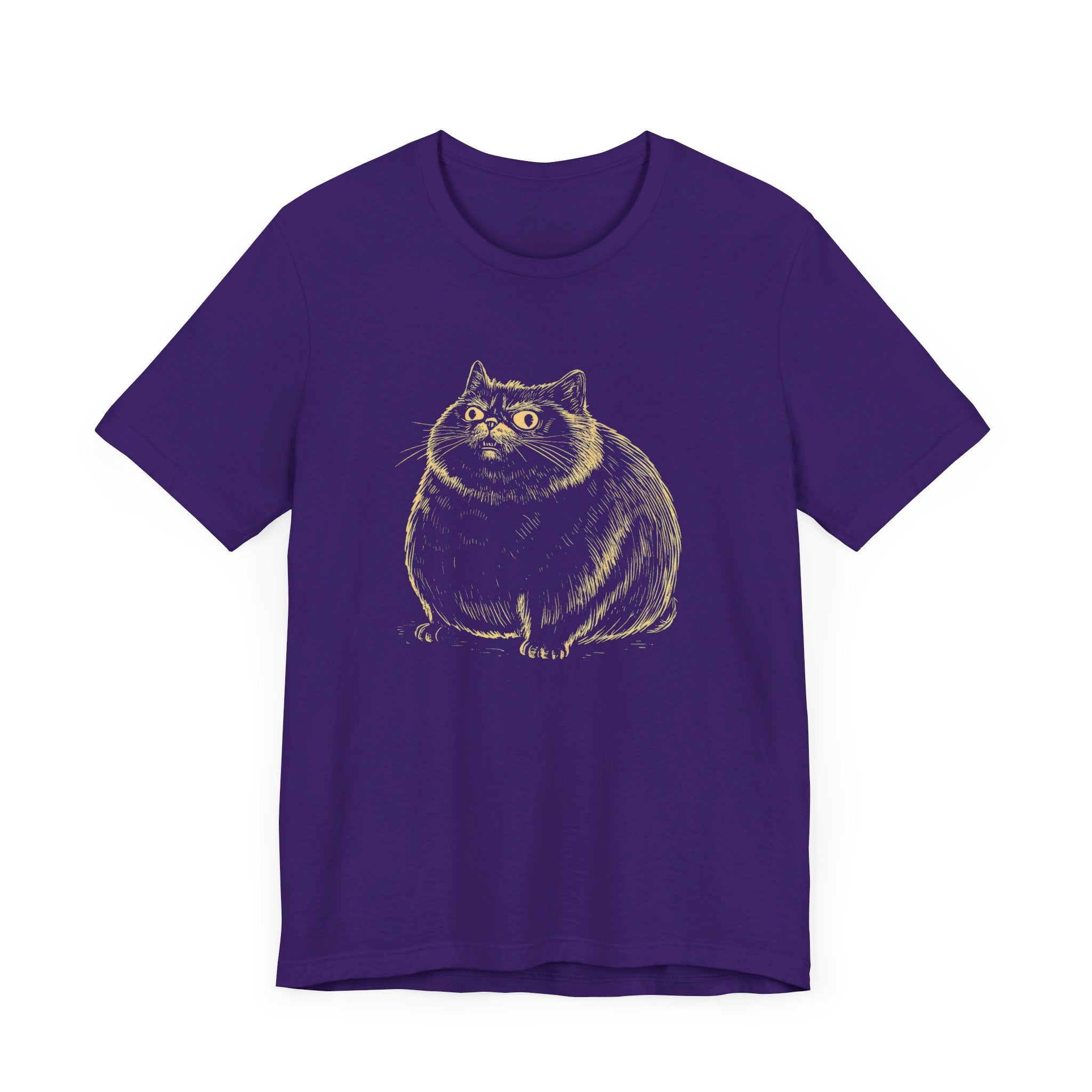 Cute Chubby Cat Illustration T-Shirt – Adorable Kitty Lover Tee
